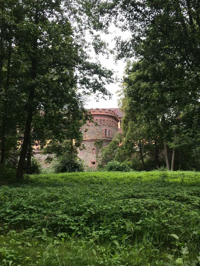 Svetluska * Trebon